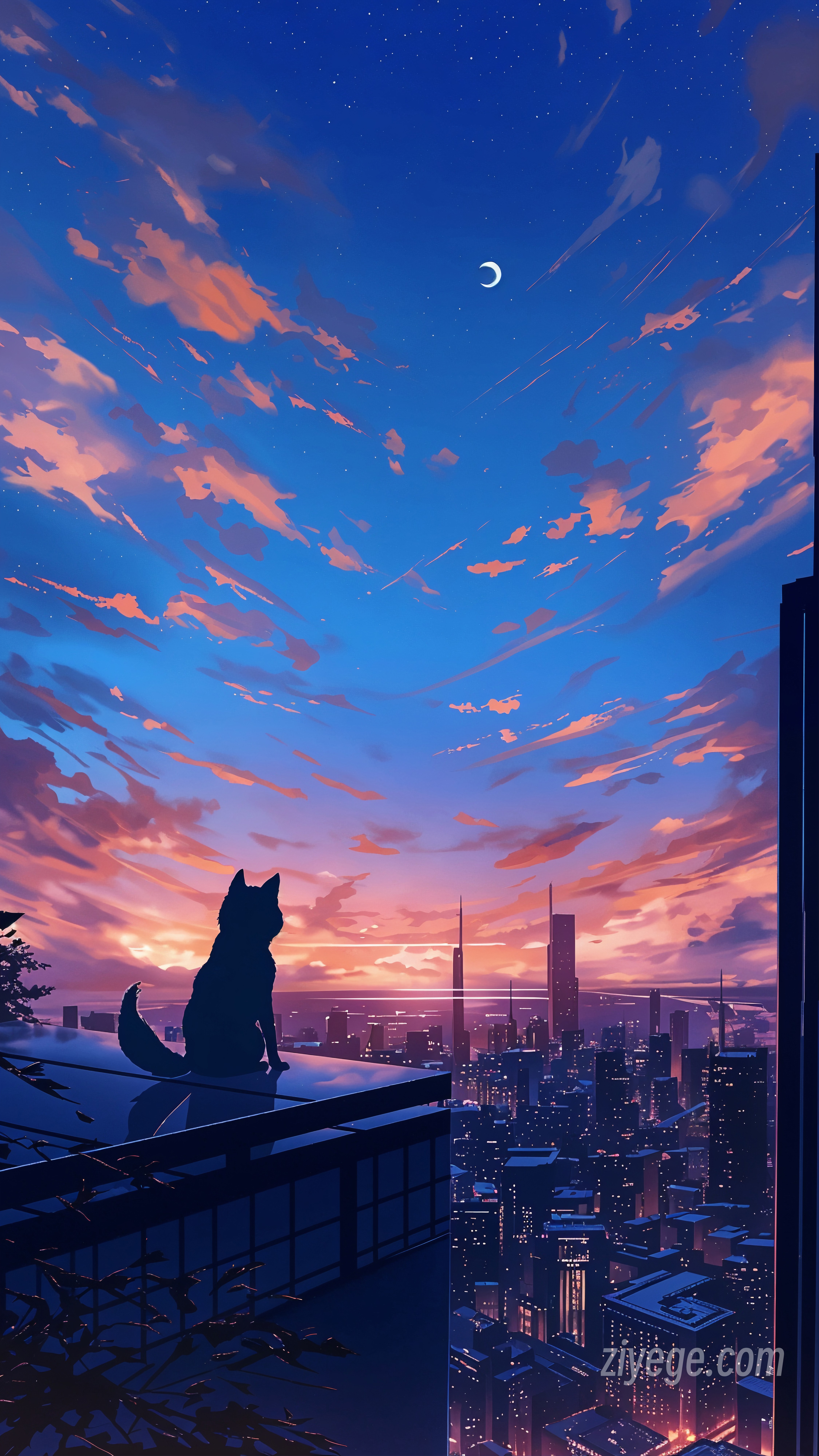 请输入图片描述