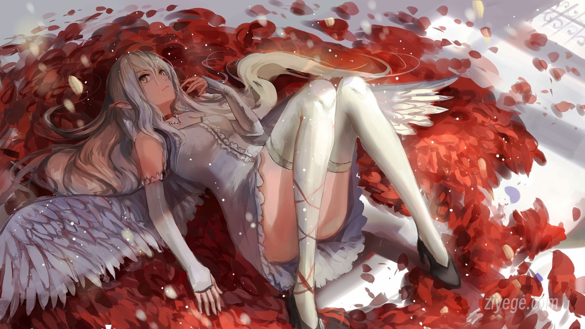 请输入图片描述