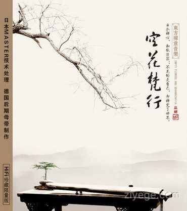 巫娜《空花梵行》——禅意古琴专辑